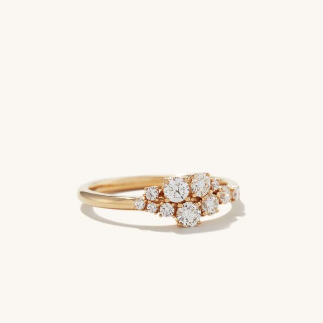engagement-rings-for-valentine's-day-proposal